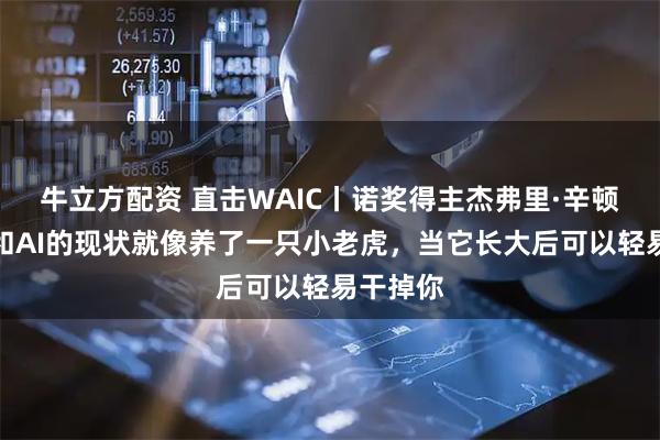 牛立方配资 直击WAIC丨诺奖得主杰弗里·辛顿：人类和AI的现状就像养了一只小老虎，当它长大后可以轻易干掉你