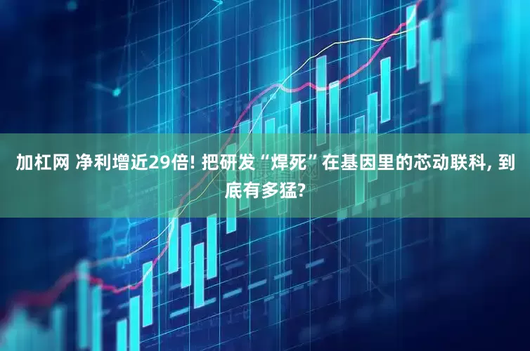 加杠网 净利增近29倍! 把研发“焊死”在基因里的芯动联科, 到底有多猛?