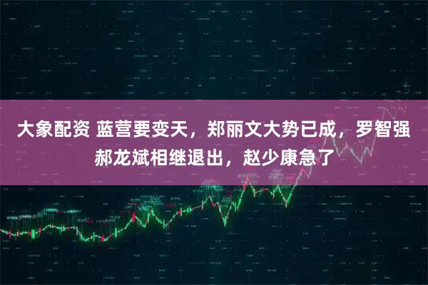 大象配资 蓝营要变天,郑丽文大势已成,罗智强郝龙斌相继退出,赵少康急了